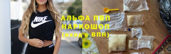гидра Абаза