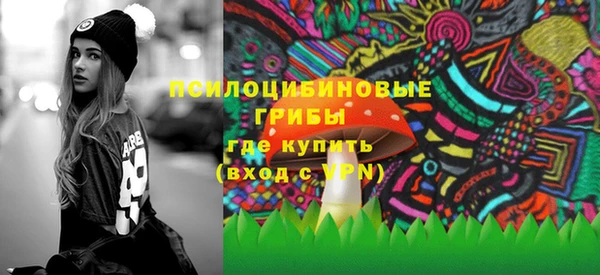 хмурый Алексеевка