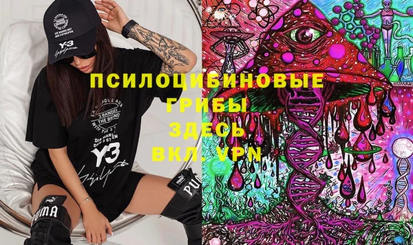 мдпв Алзамай