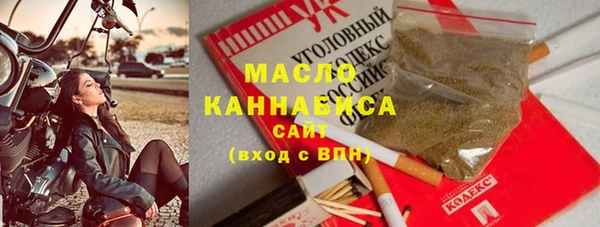 гидра Абаза