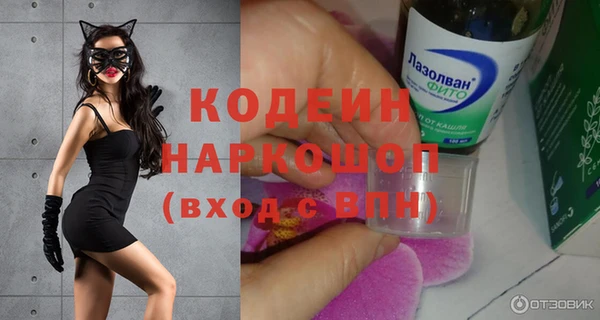 гидра Абаза