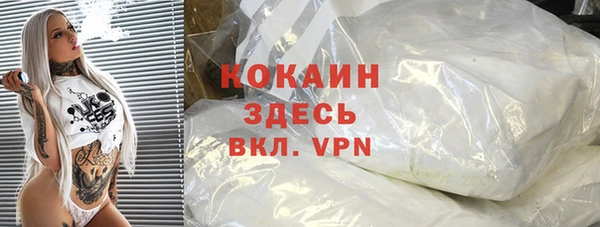 гидра Абаза